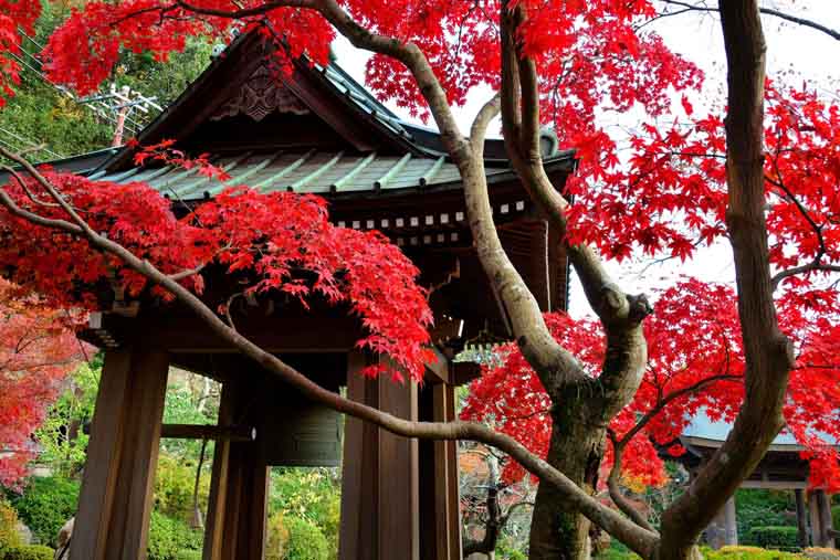 海蔵寺